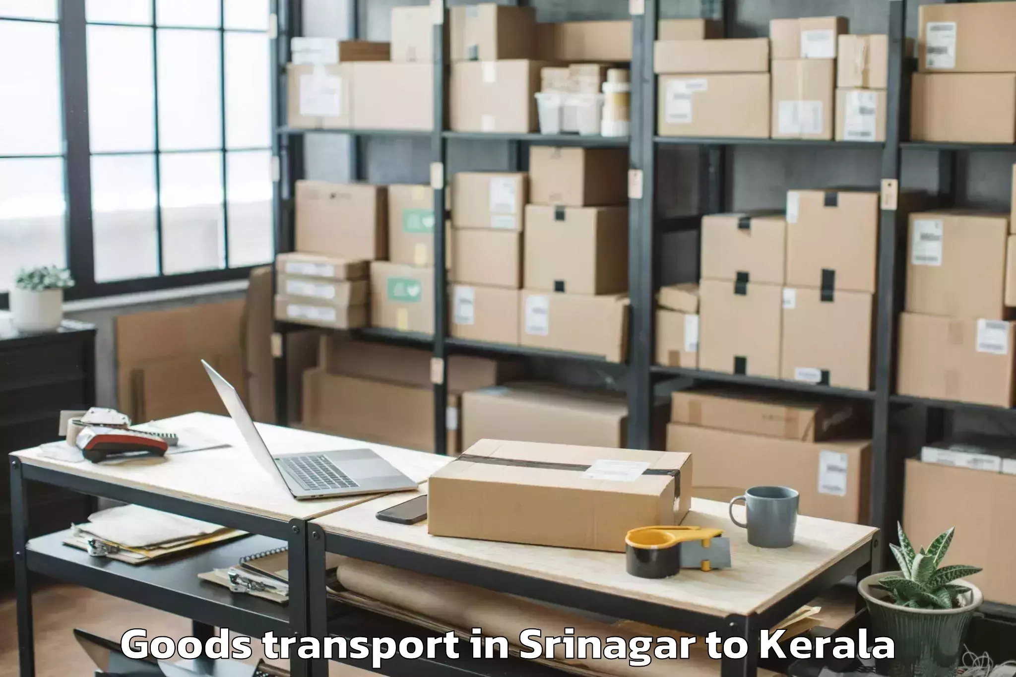 Trusted Srinagar to Ottappalam Goods Transport